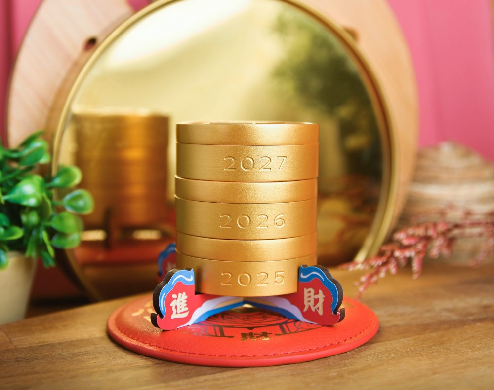 Turtle of Abundant Returns Steamer - Stackable Fortune & Prosperity