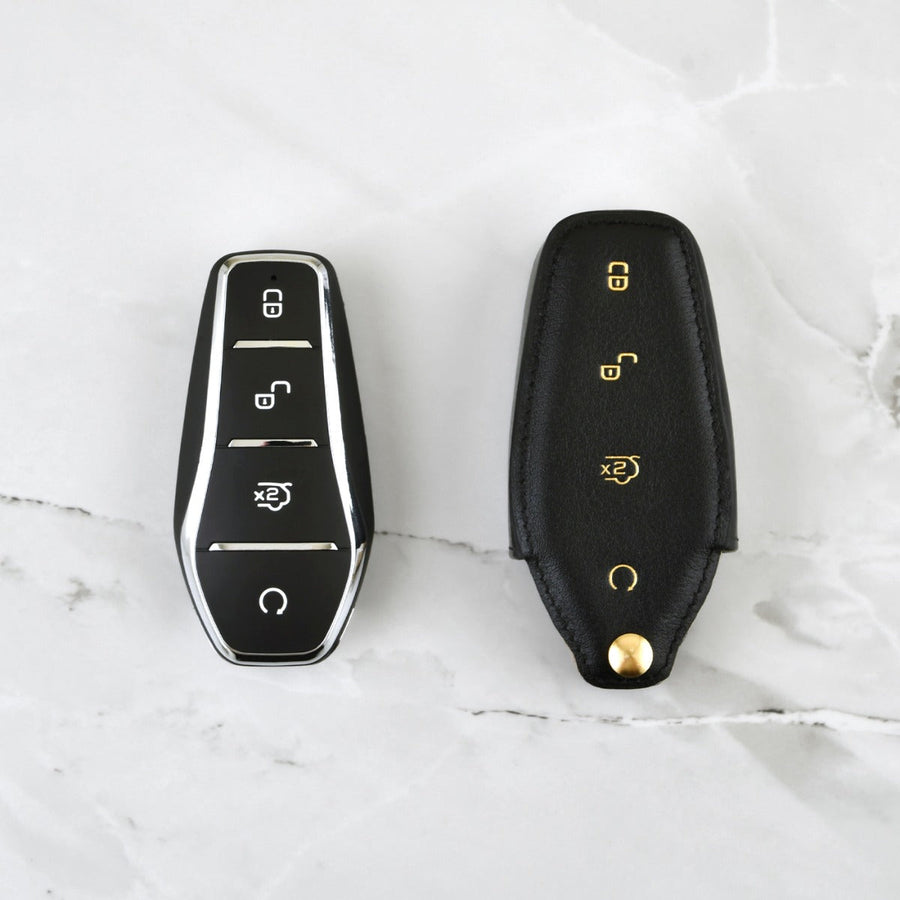 Coaster Keyless BYD Dolphin