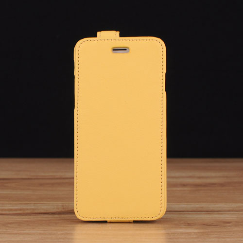 Down Flip Leather Case